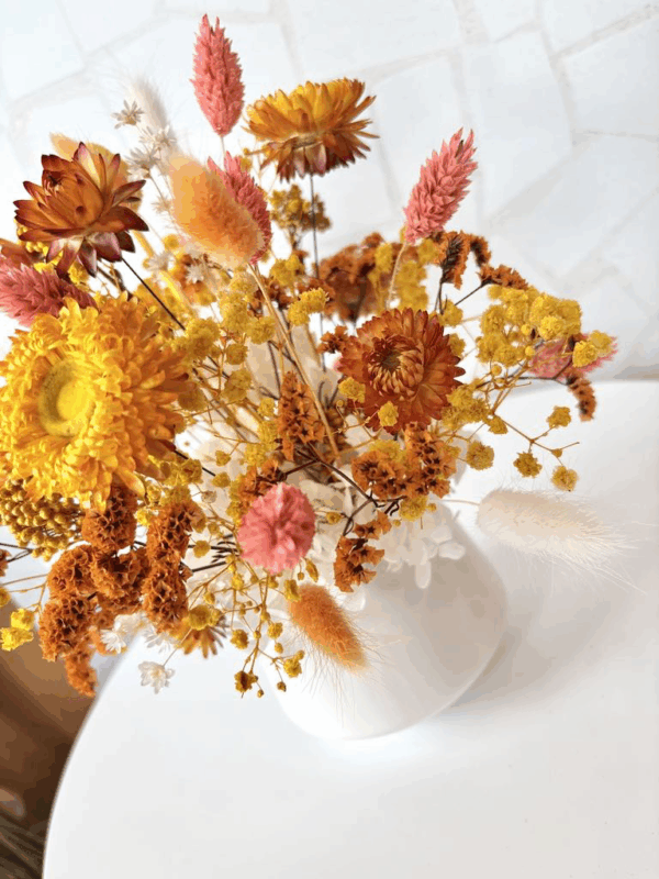 Effie - Image 5
