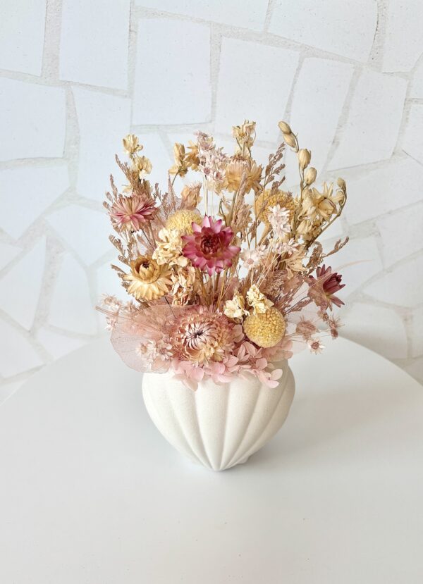 Coral - Image 2