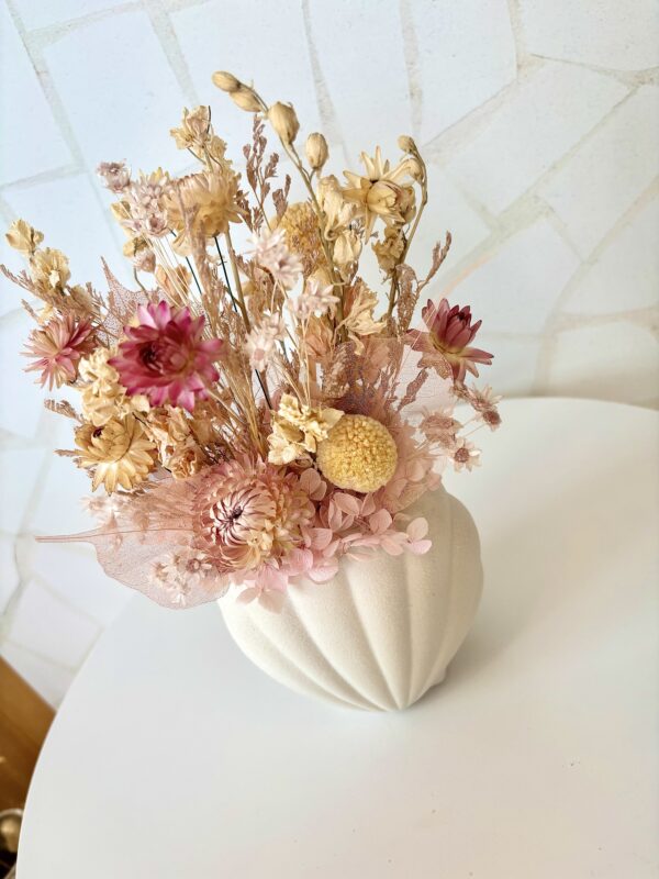 Coral - Image 3