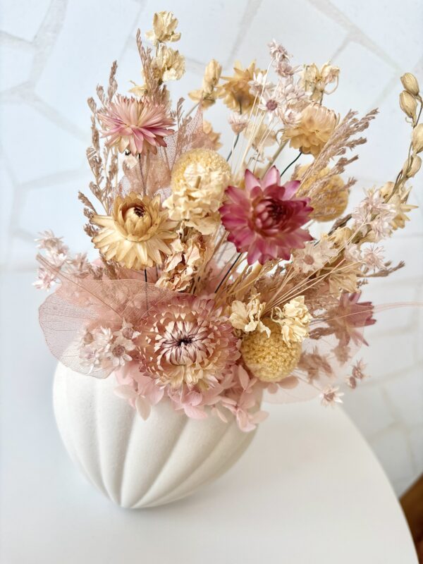 Coral - Image 4