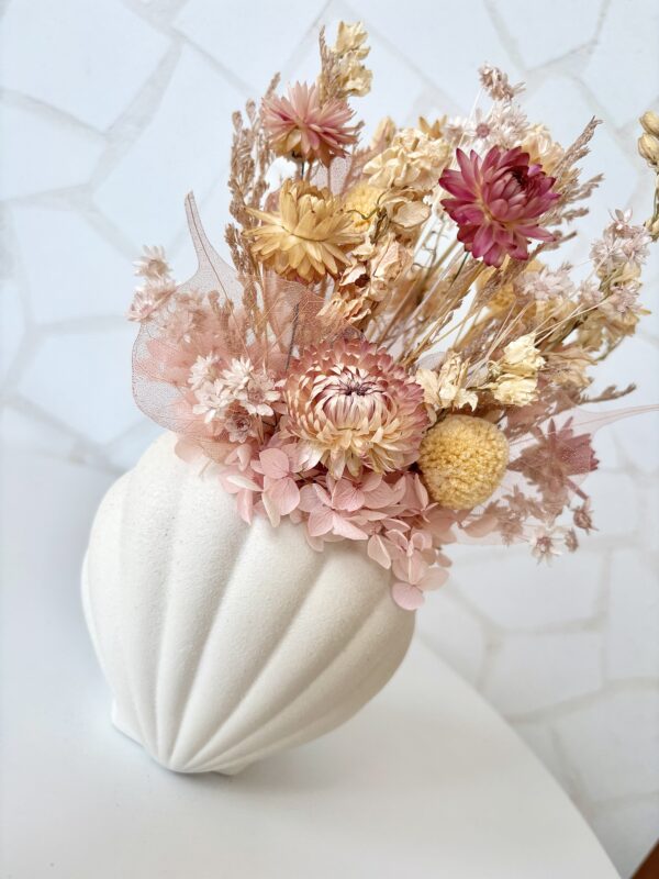 Coral - Image 5