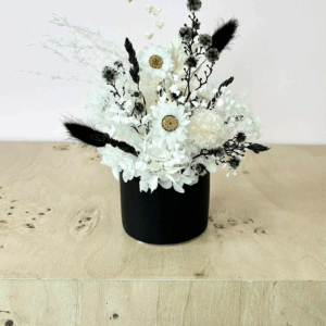 Molly (Mini Arrangement)