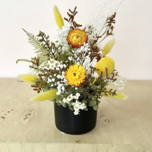 Eden (Mini Arrangement)